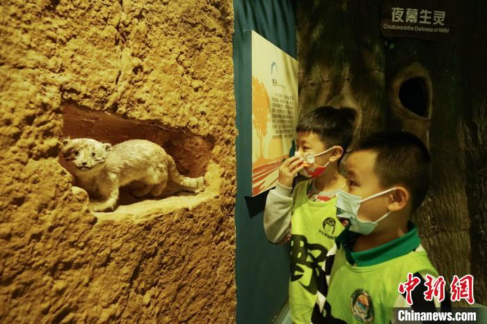 圖為小朋友在青海西寧湟水國家濕地公園科普館內(nèi)參觀學(xué)習(xí)。　馬銘言 攝