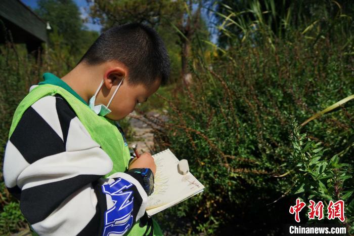 圖為小朋友在青海西寧湟水國家濕地公園內(nèi)認(rèn)識植物并進行繪畫?！●R銘言 攝