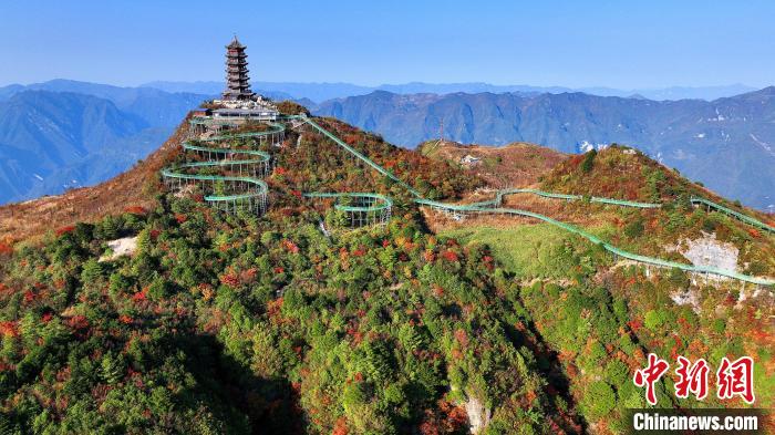 巴山大峽谷彩林迎來(lái)最佳觀賞期?！∫κ?攝