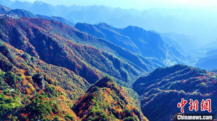 巴山大峽谷彩林迎來(lái)最佳觀賞期?！埰?攝