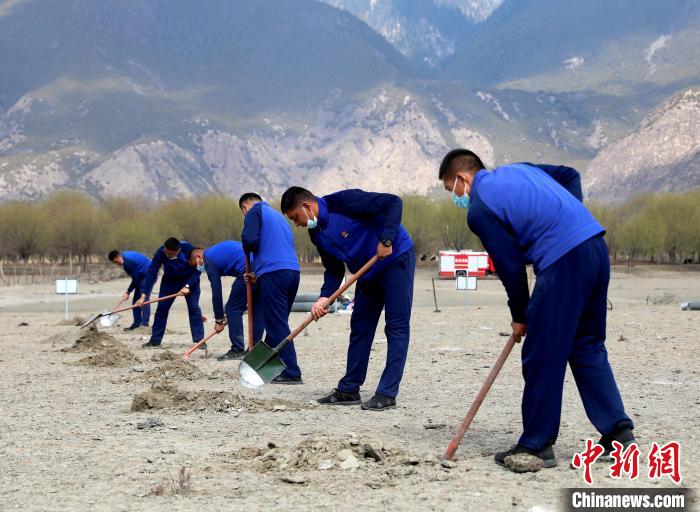 林芝市巴宜區(qū)森林消防中隊志愿服務(wù)隊正在揮鍬鏟土。　西繞拉翁 攝