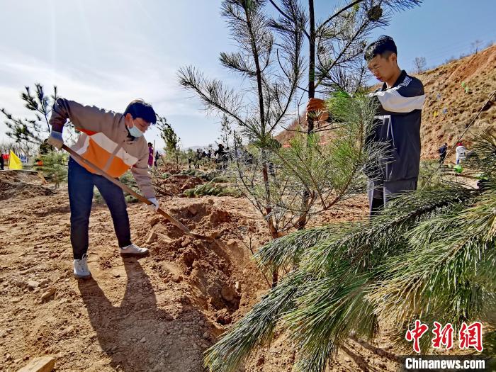 圖為西寧市城東區(qū)義務(wù)植樹活動現(xiàn)場?！?zhí)砀?攝