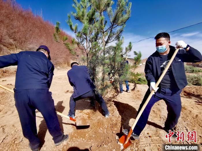 圖為西寧市城東區(qū)義務(wù)植樹活動現(xiàn)場?！?zhí)砀?攝