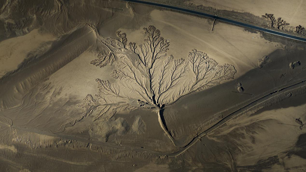 無人機(jī)視角下的西藏阿里地區(qū)改則縣“大地之樹”景觀。尼瑪多吉攝
