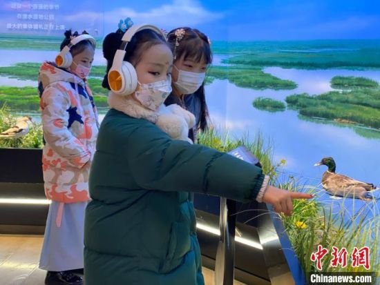 圖為學生在西寧市第一中學濕地科普宣教館內參觀。　李江寧 攝