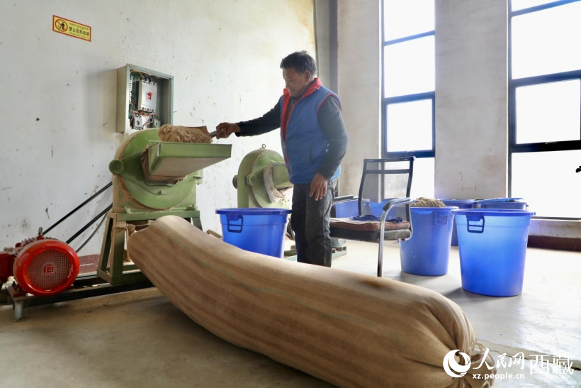 圖為藏香文化展廳內(nèi)地康巴草、杜鵑葉等珍貴藏香原材料。人民網(wǎng)記者 次仁羅布攝