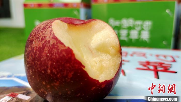 圖為通麥村特色甜心蘋(píng)果?！∝暽＠?攝