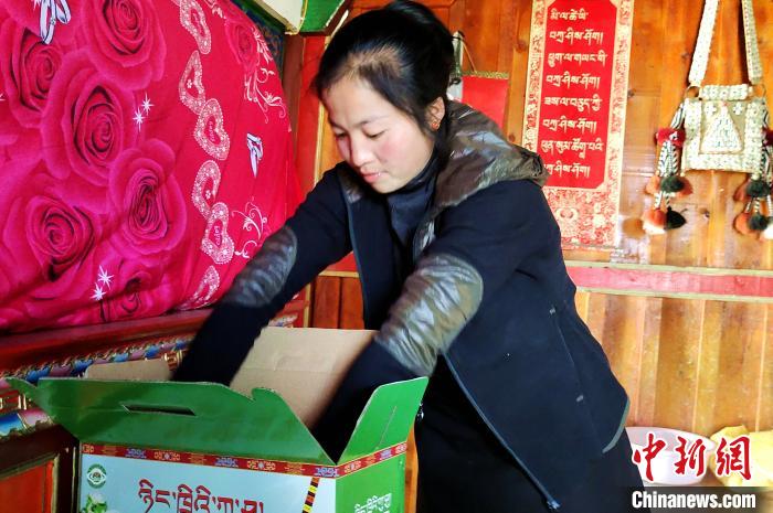 圖為通麥村村民巴桑拉姆把精心挑選的蘋(píng)果裝箱?！∝暽＠?攝