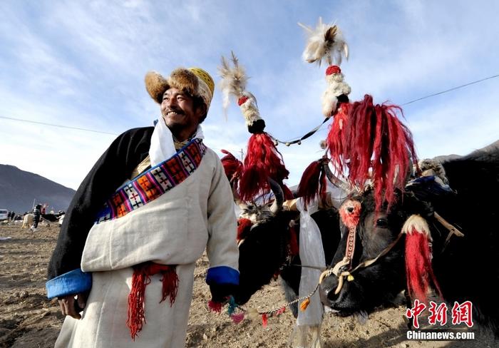 資料圖為2013年3月16日，拉薩市堆龍德慶區(qū)德慶村的農(nóng)民牽著牦牛參加春耕儀式，按照傳統(tǒng)方式由牦牛開第一犁。 <a target='_blank' href='/'><p  align=