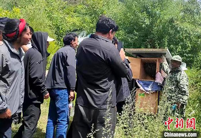 拉久西村村民學(xué)習(xí)養(yǎng)蜂工作流程和防范事項(xiàng)?！〔际忻⒖悼h委宣傳部供圖