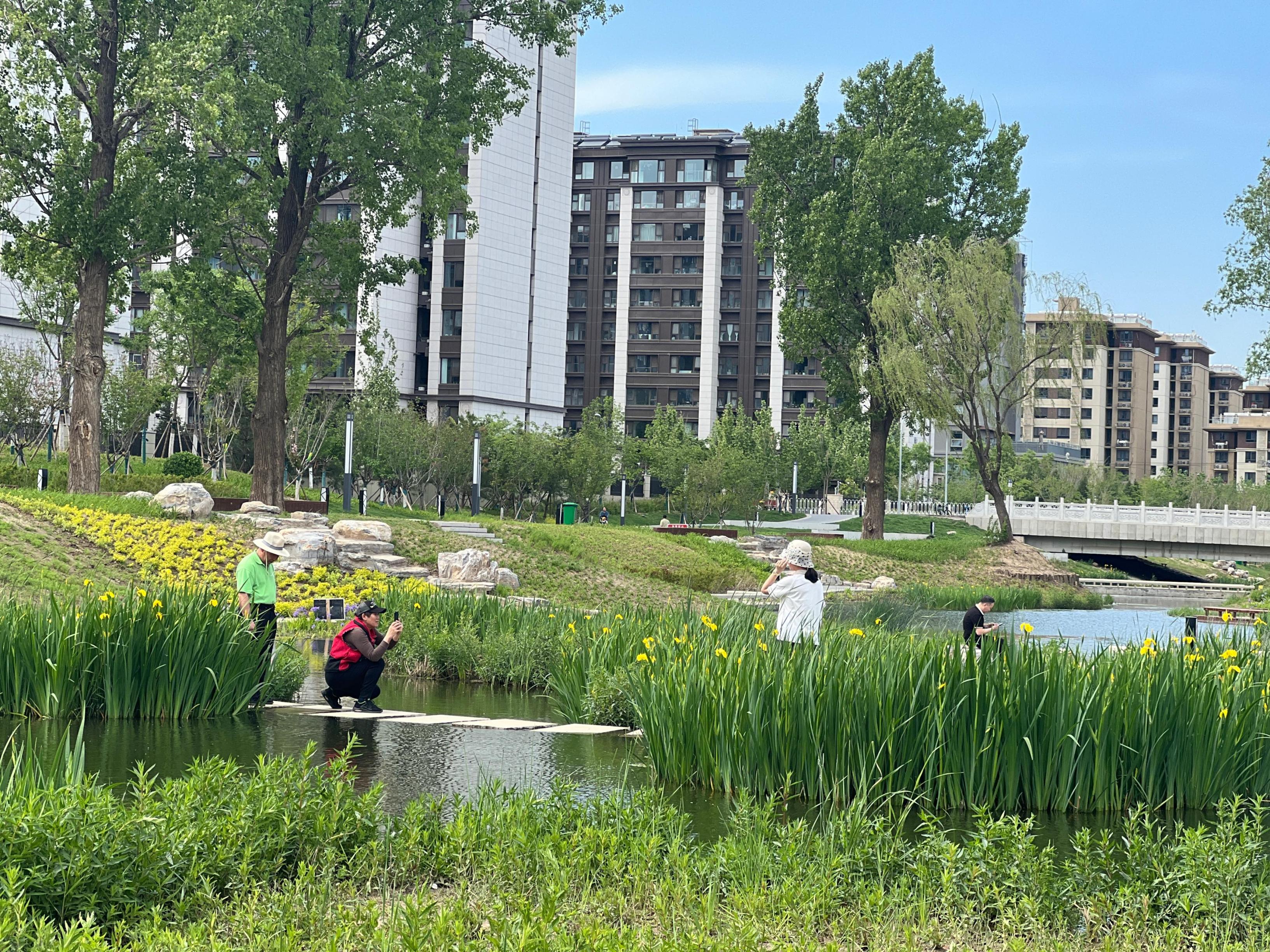 五一渠生態(tài)濱河公園內(nèi)，市民正在拍照留念。人民網(wǎng) 歐陽易佳攝