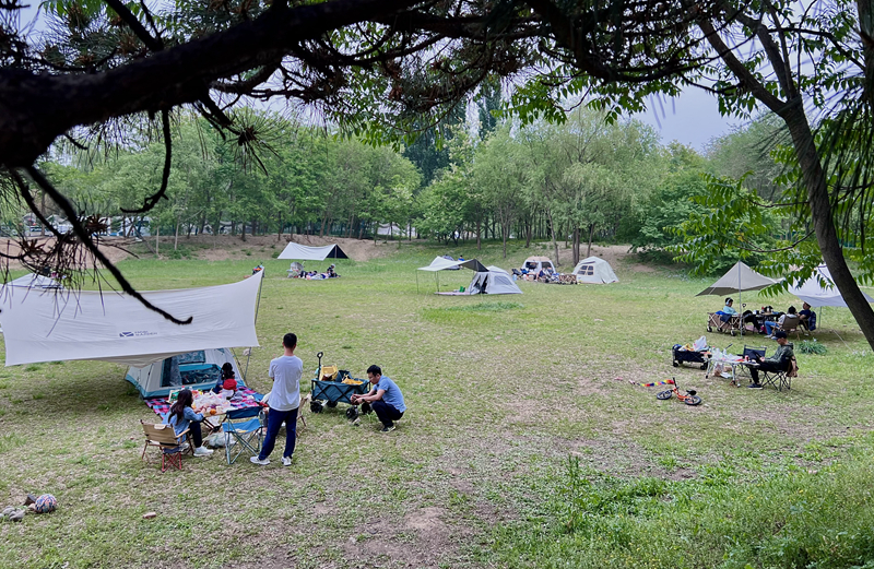 “自駕+露營”等多元模式受熱捧。人民網(wǎng)記者 王連香攝
