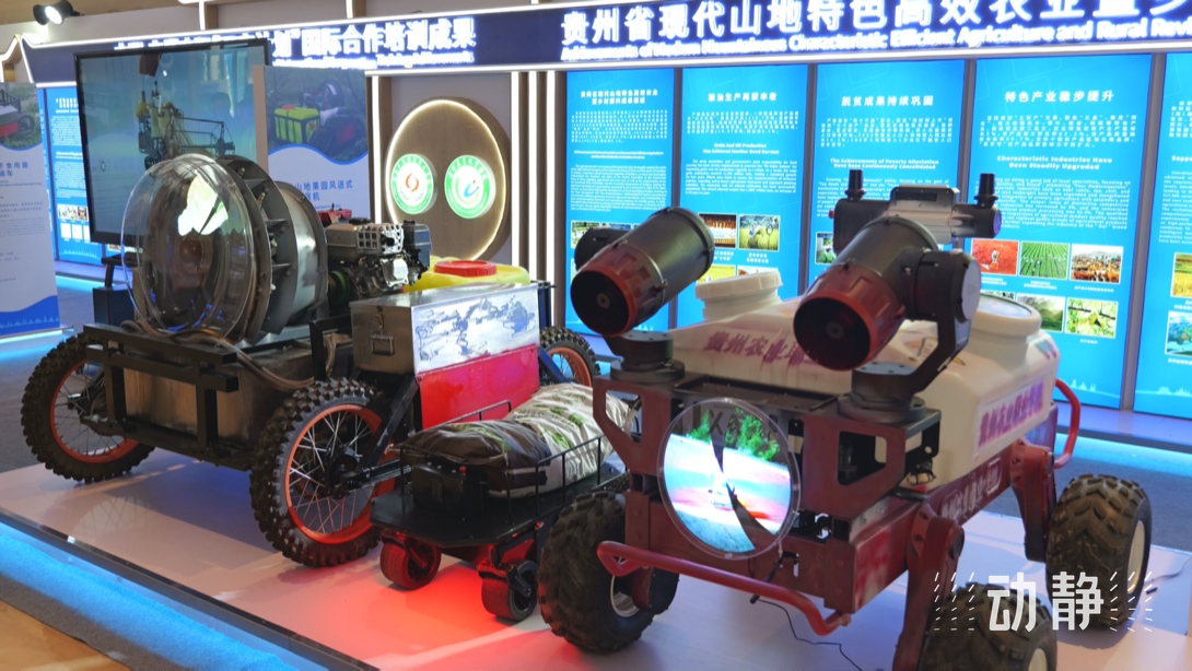 展示成果分享經(jīng)驗，中國—東盟教育交流周深化合作共創(chuàng)未來！