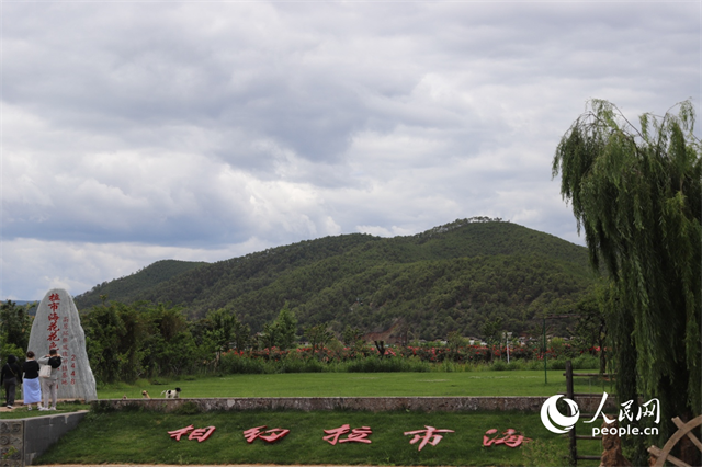 麗江市拉市海景區(qū)。 人民網記者 程浩攝