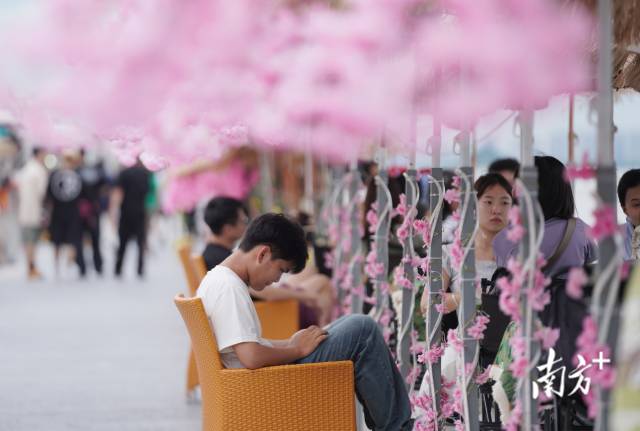 崖口村東堤靠近海岸，成為了熱門(mén)打卡休閑地點(diǎn)。