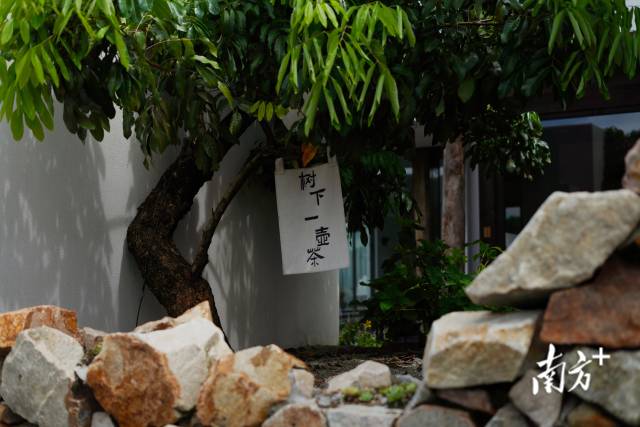 崖口村內(nèi)的文藝民宿。