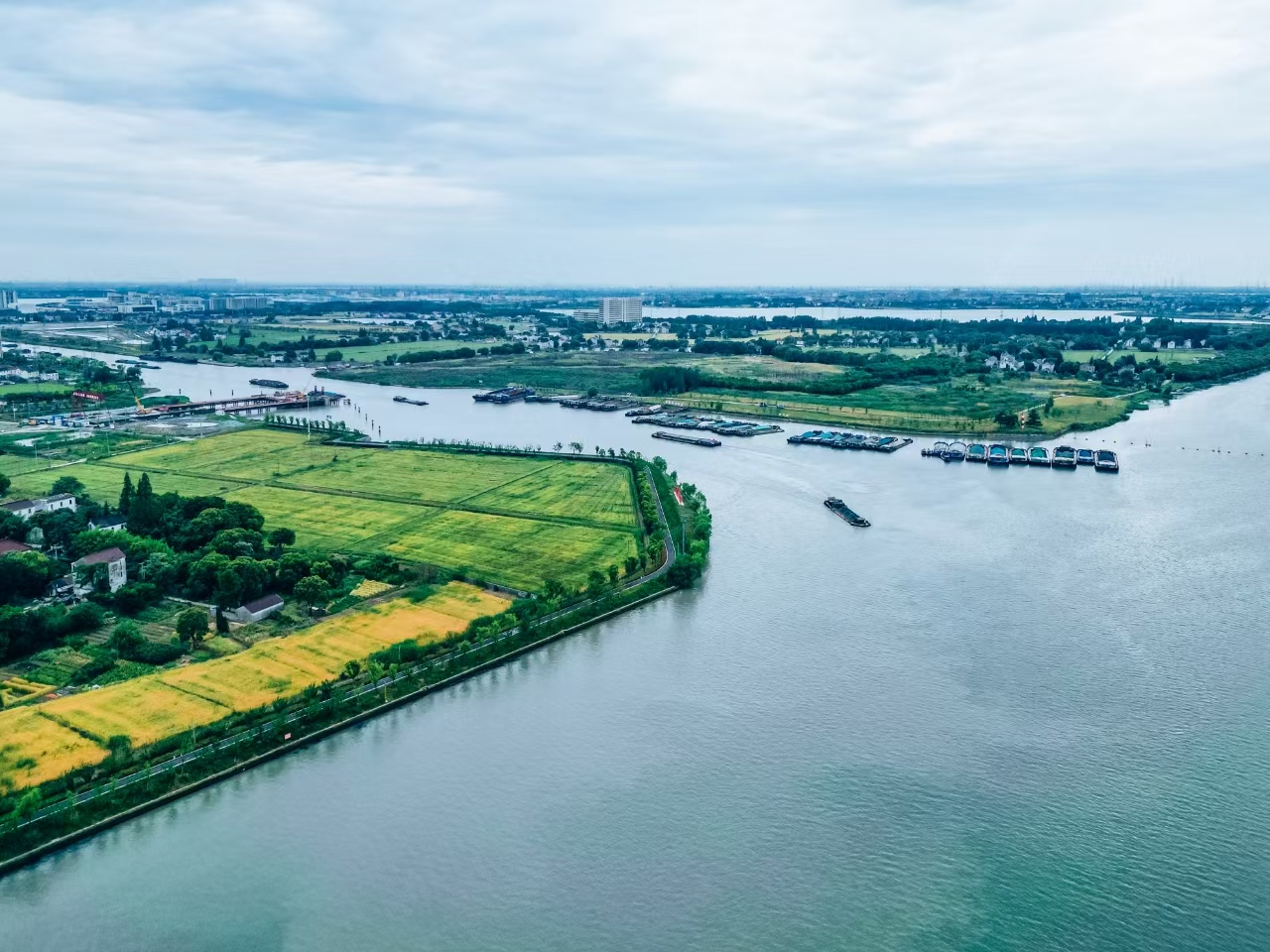 太浦河沿岸好風光。吳橫軒攝