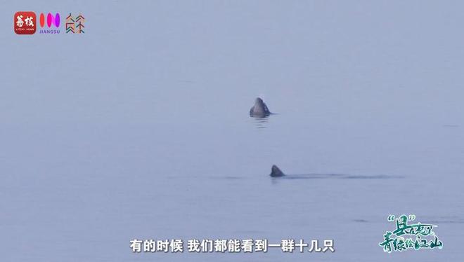 “縣”在起筆 青綠繪江山 | 江灣沐曉：褪去“銹色”走“金線”，繡出生態(tài)與產(chǎn)業(yè)“雙面錦”