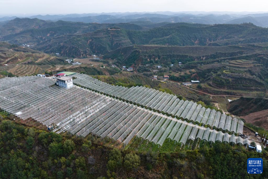 【高質(zhì)量發(fā)展看陜西】“上天”的延安蘋果，蘊(yùn)藏哪些新質(zhì)生產(chǎn)力