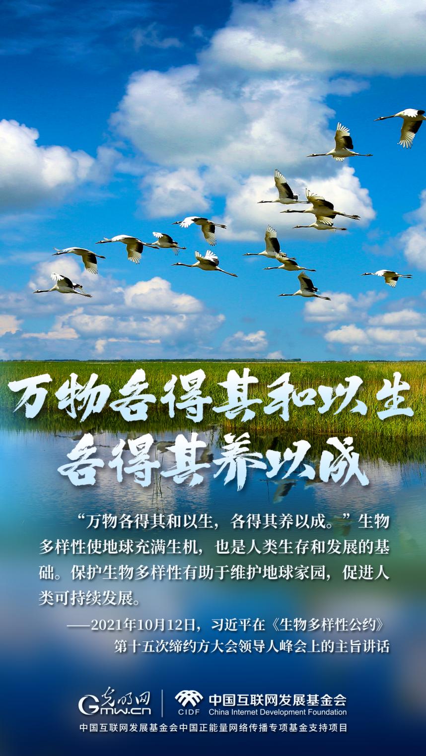 “兩山”理念與美麗中國丨濕地與候鳥，一場(chǎng)歲歲年年的相守