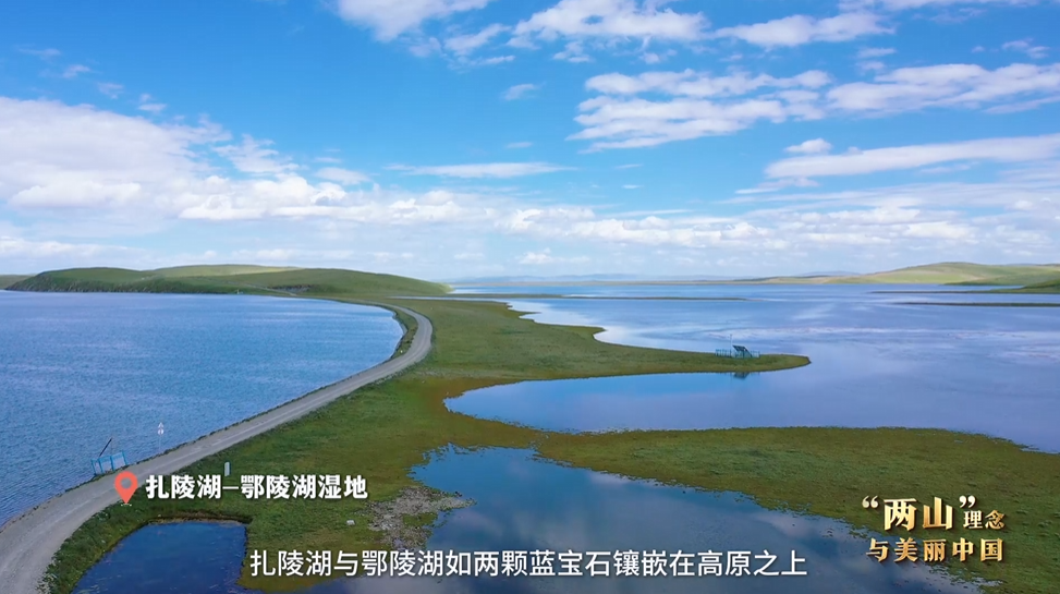 “兩山”理念與美麗中國丨濕地與候鳥，一場(chǎng)歲歲年年的相守