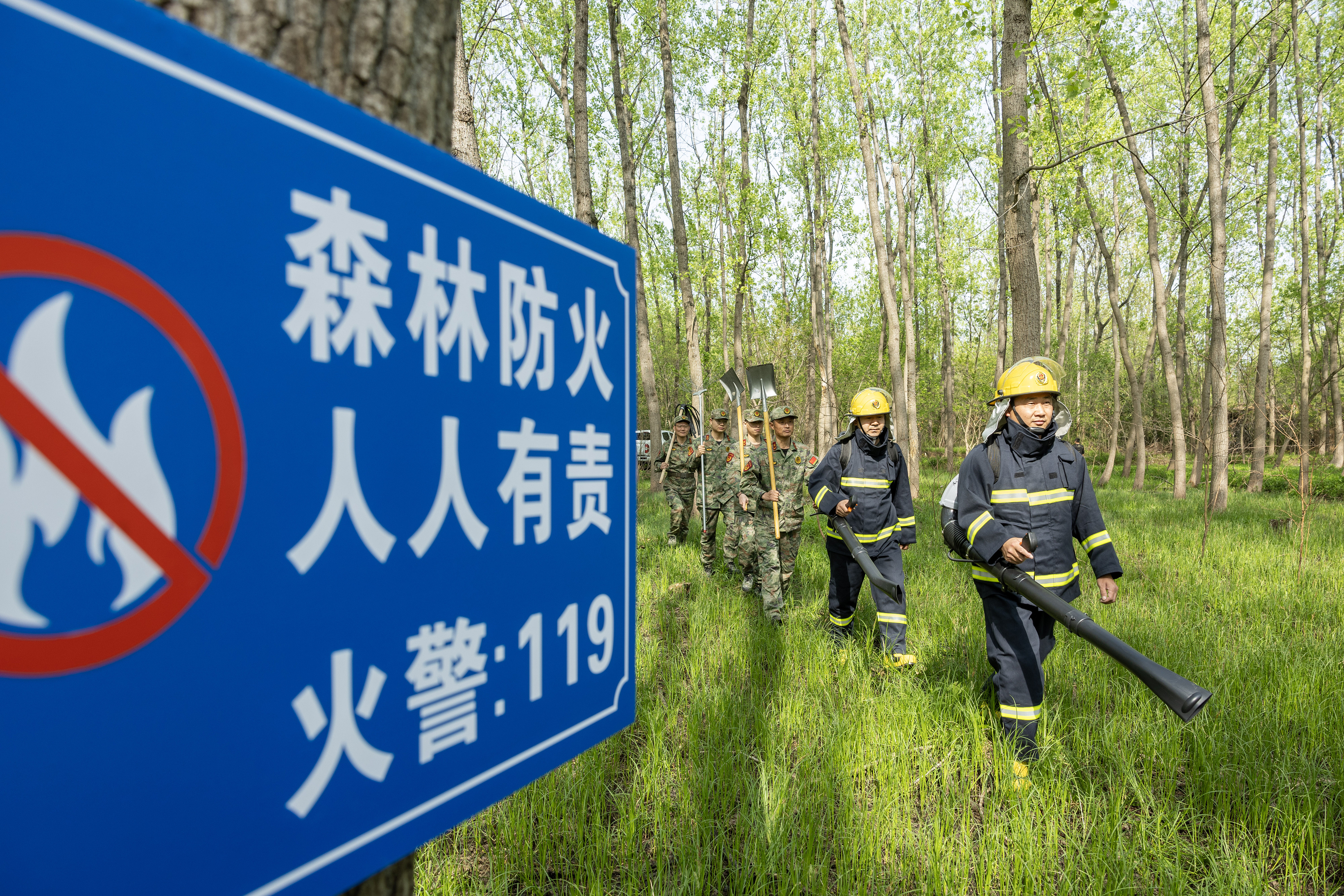 2024年4月9日，合肥市大房郢水庫水源保護(hù)地廬陽經(jīng)濟(jì)開發(fā)區(qū)段，基干民兵正在林間巡查火災(zāi)隱患。