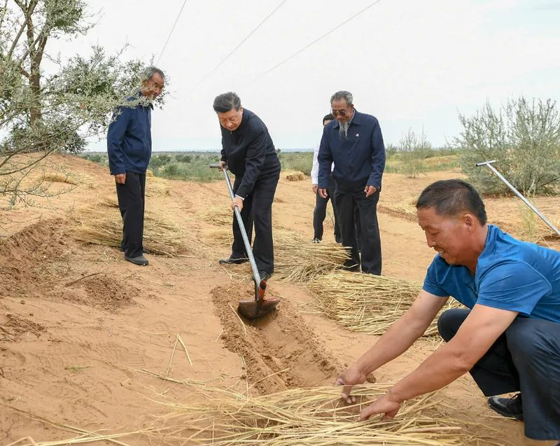 2019年8月21日，習近平來到甘肅省武威市古浪縣八步沙林場，實地察看當?shù)刂紊吃炝?、生態(tài)保護等情況。新華社記者 謝環(huán)馳 攝