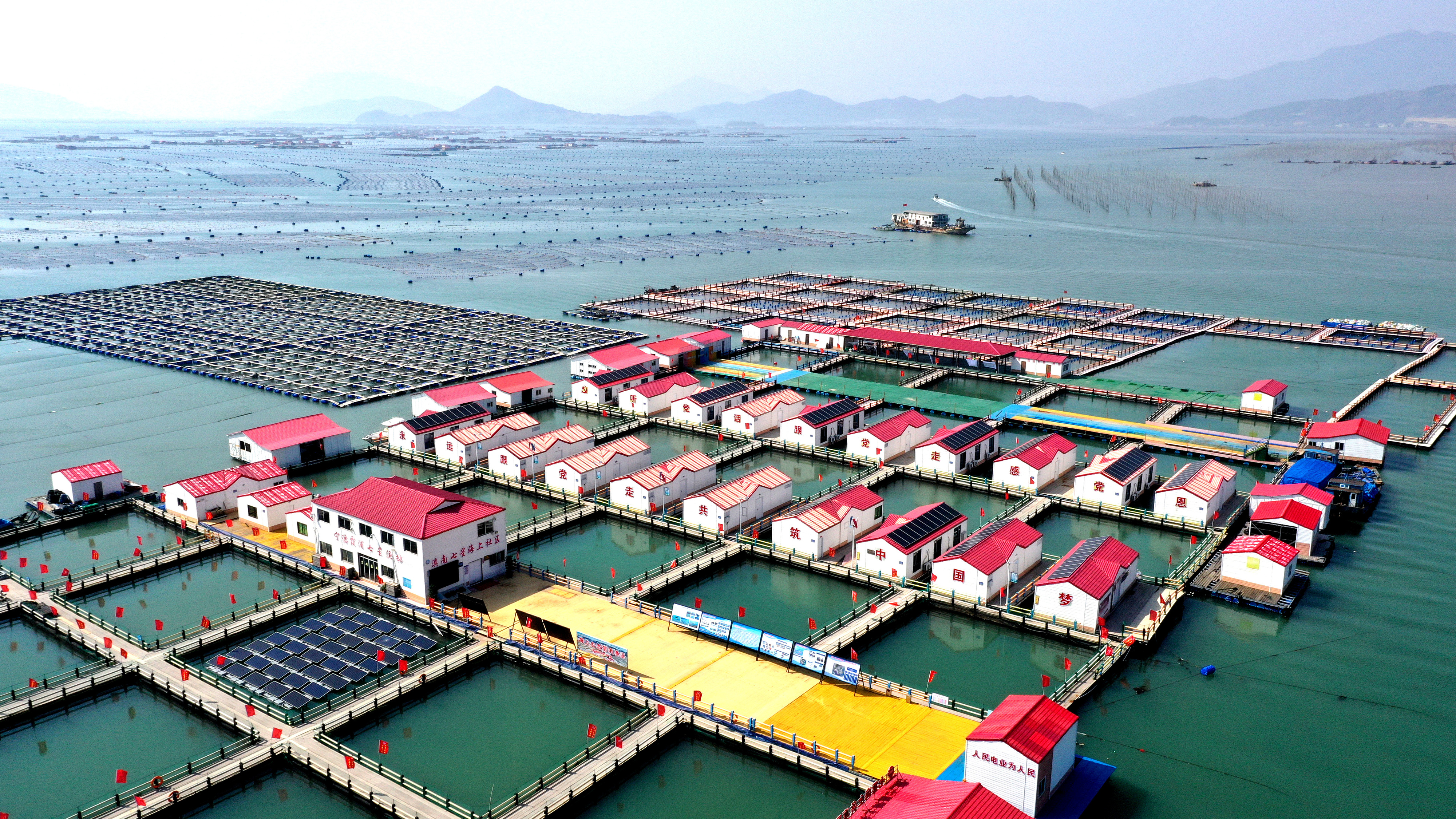2024年3月20日，福建省寧德市，霞浦縣溪南鎮(zhèn)七星村漁排養(yǎng)殖示范區(qū)，漁民駕駛養(yǎng)殖船進(jìn)行海參養(yǎng)殖作業(yè)。