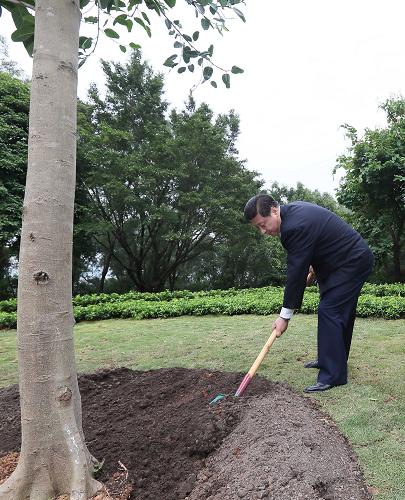 2012年12月7日至11日，習(xí)近平在廣東省考察工作。這是8日上午，習(xí)近平在深圳蓮花山公園種下一棵高山榕樹(shù)。新華社記者 蘭紅光 攝