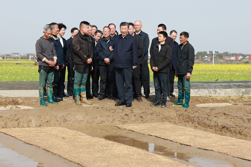 2024年3月18日至21日，中共中央總書記、國家主席、中央軍委主席習(xí)近平在湖南考察。這是19日下午，習(xí)近平在常德市鼎城區(qū)謝家鋪鎮(zhèn)港中坪村走進(jìn)田間，察看秧苗培育和春耕備耕進(jìn)展。新華社記者 王曄 攝