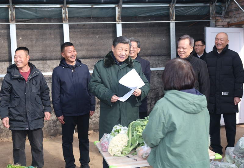 2024年2月1日，習(xí)近平總書記在天津市西青區(qū)辛口鎮(zhèn)第六埠村，走進(jìn)大棚同菜農(nóng)親切交流。