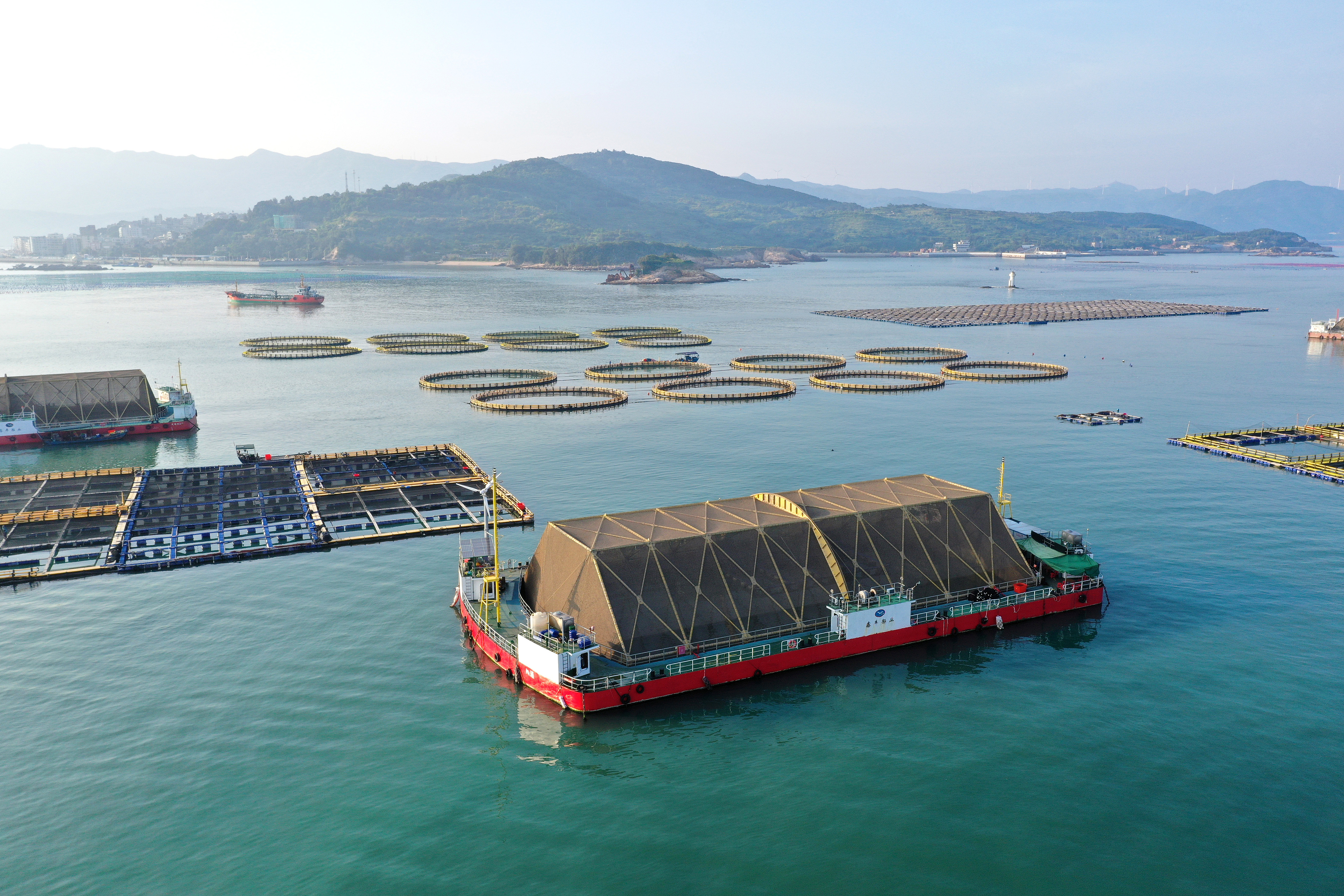 2024年9月10日拍攝的福建省福州市連江縣定海灣海域的現(xiàn)代化“海上糧倉”。