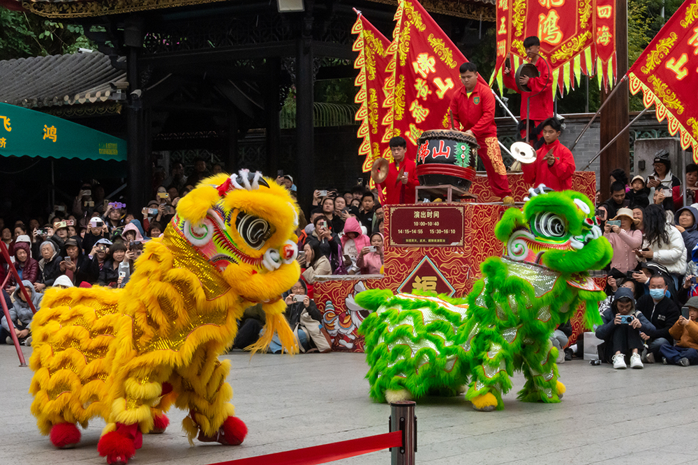 圖為廣東省佛山市祖廟的醒獅表演。