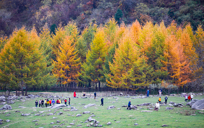 2023年10月27日，深秋時節(jié)的陜西秦嶺太子嶺漫山紅黃、色彩交織，進(jìn)入最佳觀賞期。