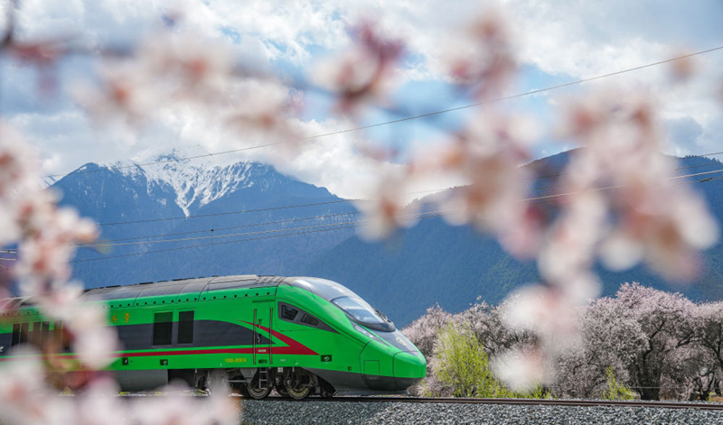 2025年4月2日，復(fù)興號列車穿行在拉林鐵路林芝段。