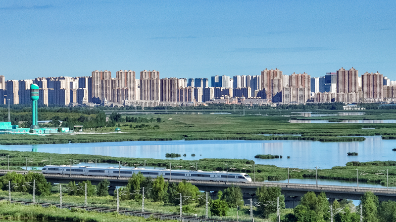 2025年8月17日，一列動車組列車駛過大慶東站。