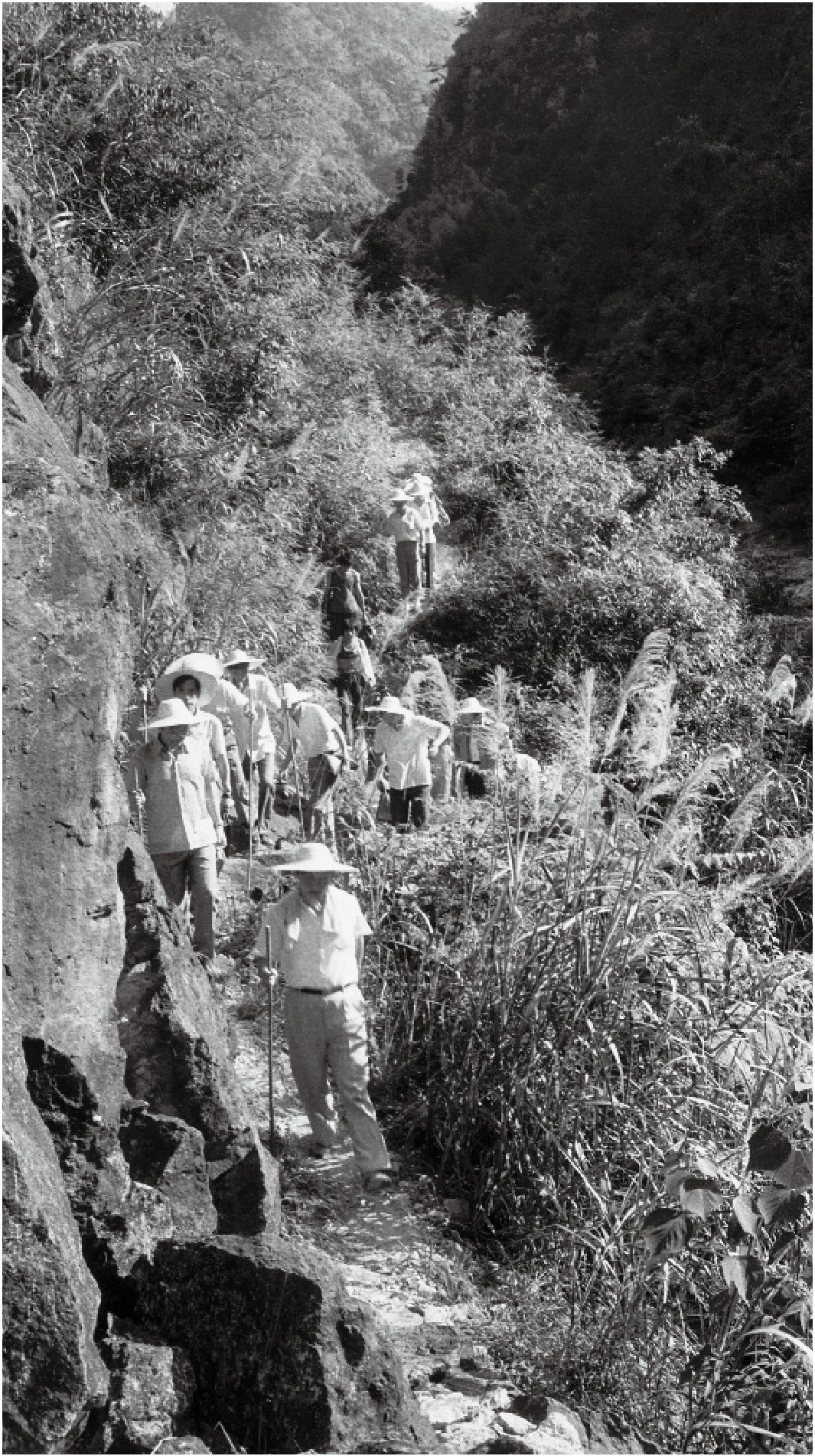 1989年7月，習(xí)近平一行到壽寧縣下黨鄉(xiāng)調(diào)研。