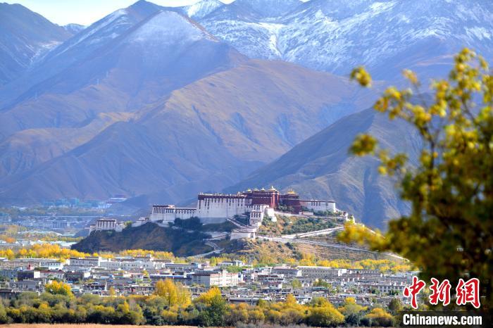 10月24日，雪山、布達(dá)拉宮和秋色組成“風(fēng)景畫(huà)”。　江飛波 攝