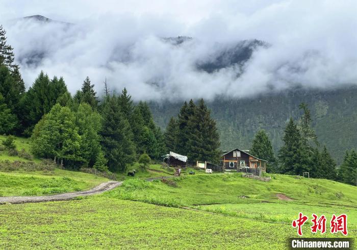 6月10日，魯朗小鎮(zhèn)高山牧場(chǎng)景區(qū)風(fēng)光?！∪轿木?攝