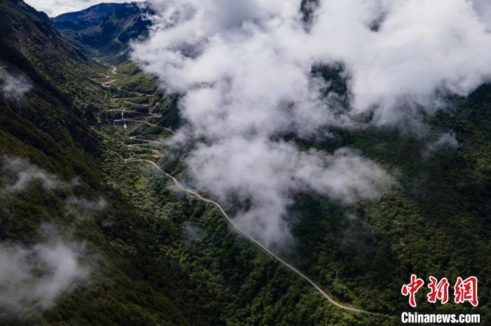 西藏山南勒布溝景區(qū)的盤山公路被云霧環(huán)繞?！〗w波 攝