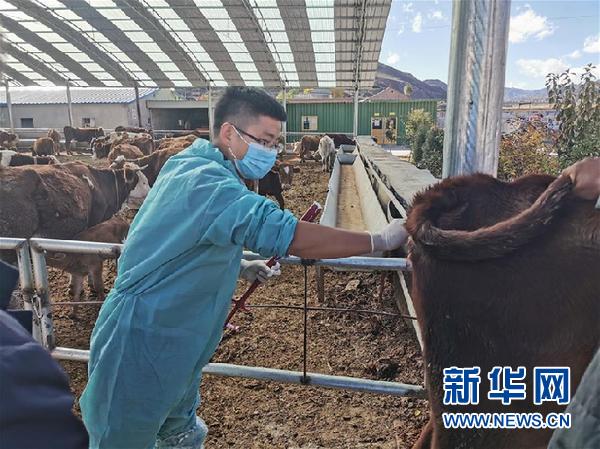 （決戰(zhàn)決勝脫貧攻堅·圖文互動）（2）脫貧“不暫?！?服務(wù)“不打烊”——天津通過“云端”幫扶為甘肅受援地區(qū)戰(zhàn)貧繼續(xù)助力