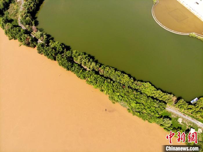 圖為2020年9月3日航拍黃河蘭州段濕地公園現黃河“鴛鴦鍋”。(資料圖) 高瑩 攝