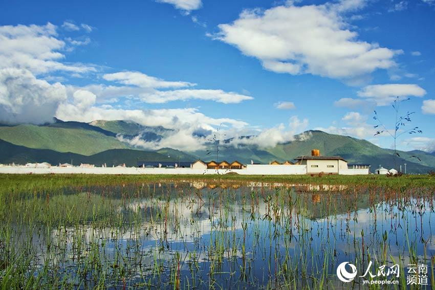 納帕海濕地風(fēng)景。呂昊辰攝