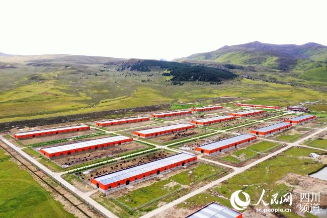建設(shè)中的理塘縣牦牛產(chǎn)業(yè)園。葉強(qiáng)平攝