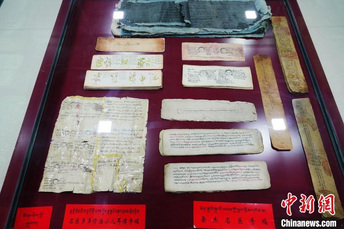 圖為藏醫(yī)古集文獻和藏醫(yī)臨床原始手稿?！●R銘言 攝