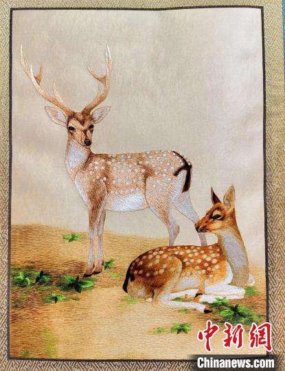 圖為藏繡作品?！∑钤鲚?攝