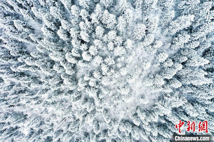 壤塘的雪后美景?！∪捞量h融媒體中心供圖
