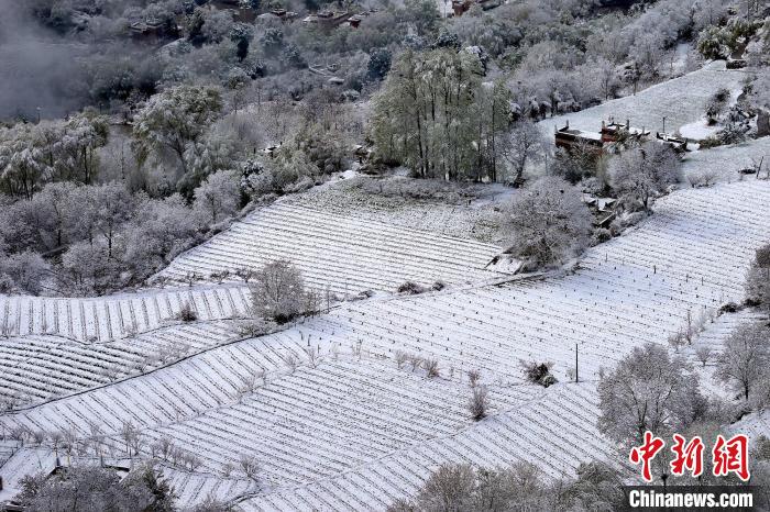 雪后的高山田間如畫(huà)?！±钣腊?攝