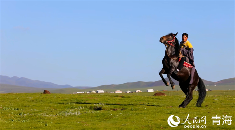 貴南草原。人民網(wǎng) 張皓芃攝