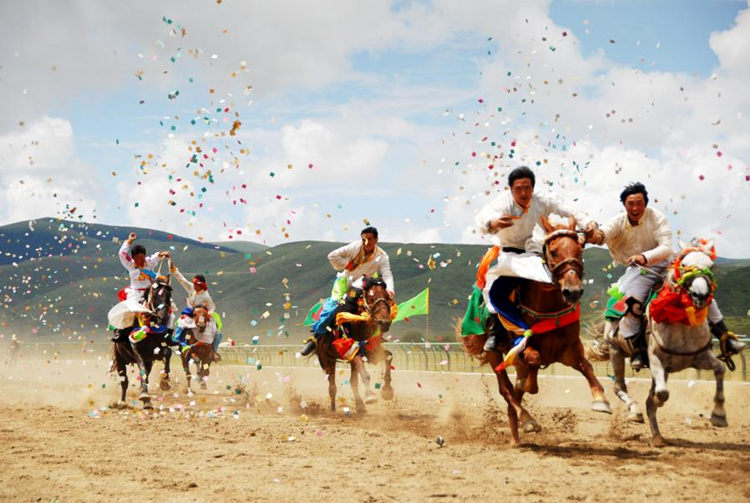 草原賽馬。阿壩州新聞傳媒中心供圖